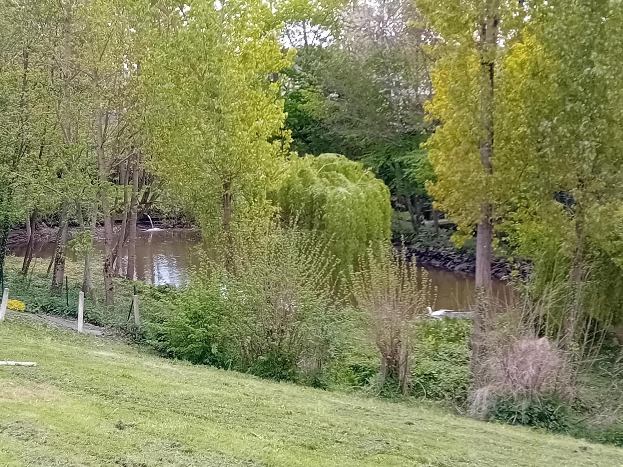 Maison Au Coeur De La Nature Cerisy-la-Foret ภายนอก รูปภาพ